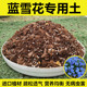 蓝雪花专用土盆栽蓝雪花酸性土壤通用型营养土进口泥炭土肥料 包邮