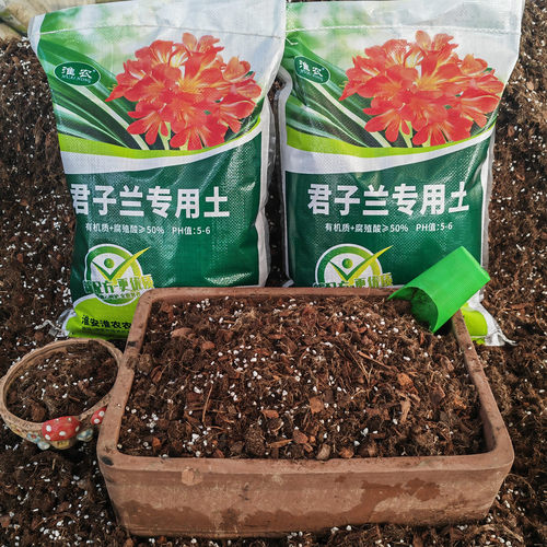 君子兰专用土疏松透气无病虫害