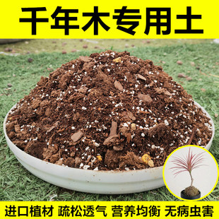 千年木专用土七彩铁盆景盆栽营养土室内绿植花卉种植土壤有机肥料