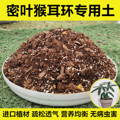 密叶猴耳环配方土进口植材透气