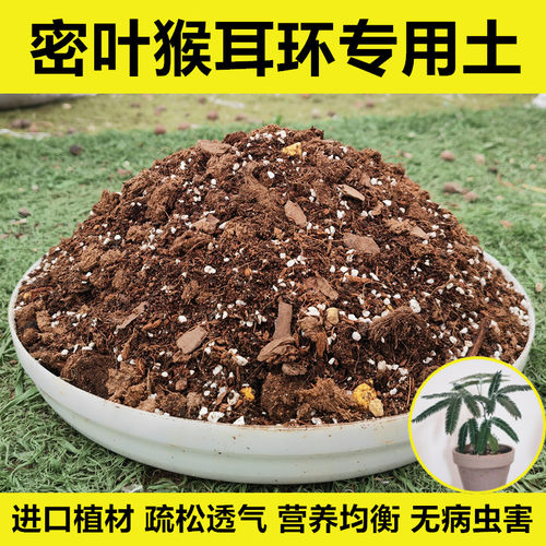 密叶猴耳环配方土进口植材透气