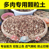 多肉专用土颗粒土盆栽植物营养土壤肉肉培育土多肉小苗老桩种植土