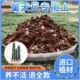 量天尺专用土疏松透气颗粒土仙人柱室内盆栽土壤种植土营养土肥料