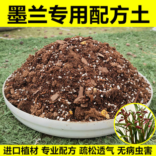 墨兰专用土兰花通用营养土盆栽种植土肥料泥炭土疏松透气无病虫害