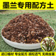 墨兰专用土兰花通用营养土盆栽种植土肥料泥炭土疏松透气无病虫害
