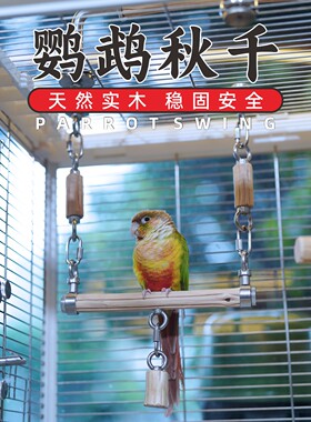 铁甲木鹦鹉秋千解闷自嗨玩具