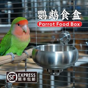磁吸喂食器保温箱底网食碗 304不锈钢鹦鹉鸟食盒防溅鸟笼食杯挂式