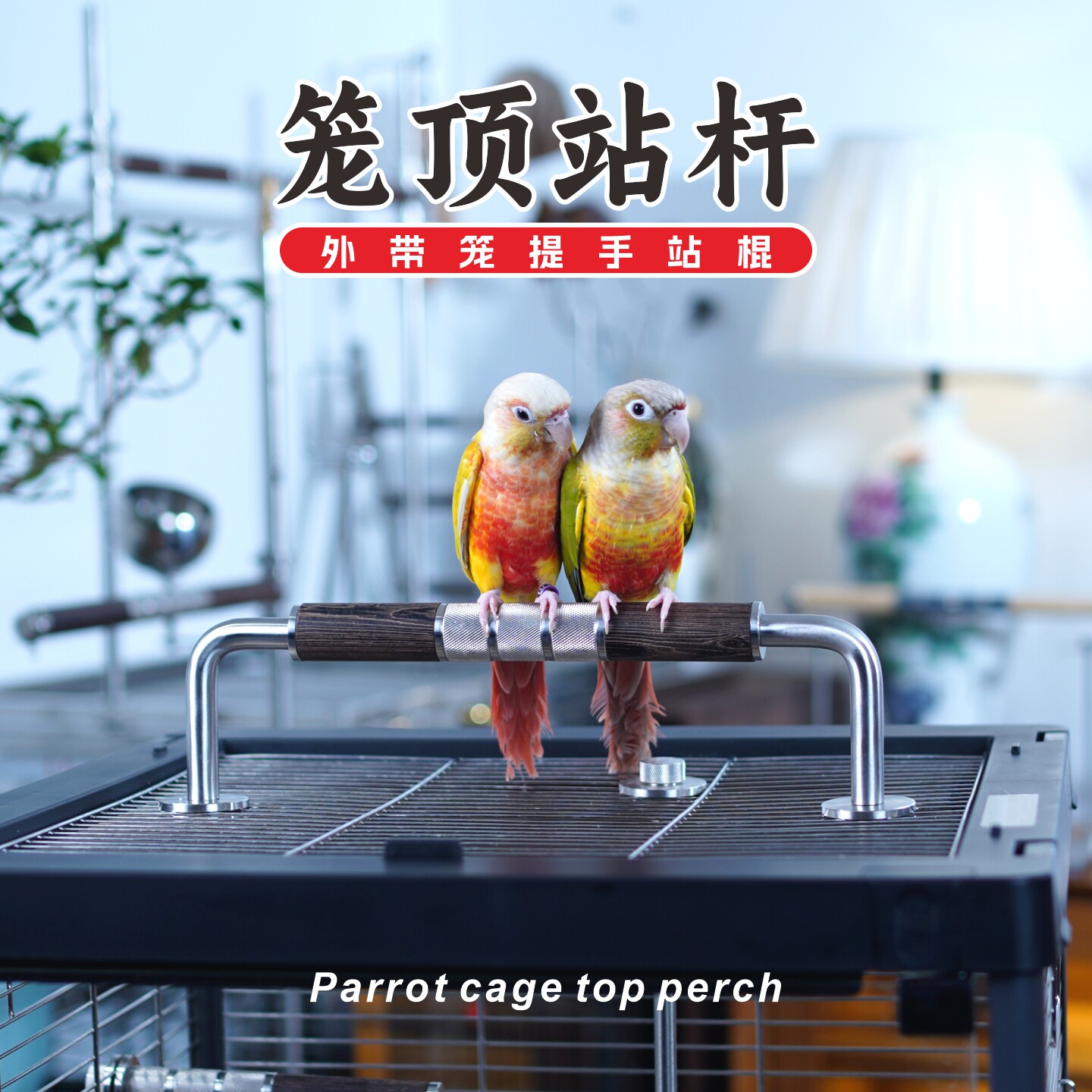 鸡翅木鹦鹉笼顶站杆鸟用栖息站杠实木磨嘴站架鸟笼配件外出笼提手图片