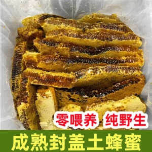 土蜂土蜂蜜纯正天然野生蜂巢蜜嚼着吃蜂蜜老蜂巢蜜蜂窝丰巢蜜蜂巢