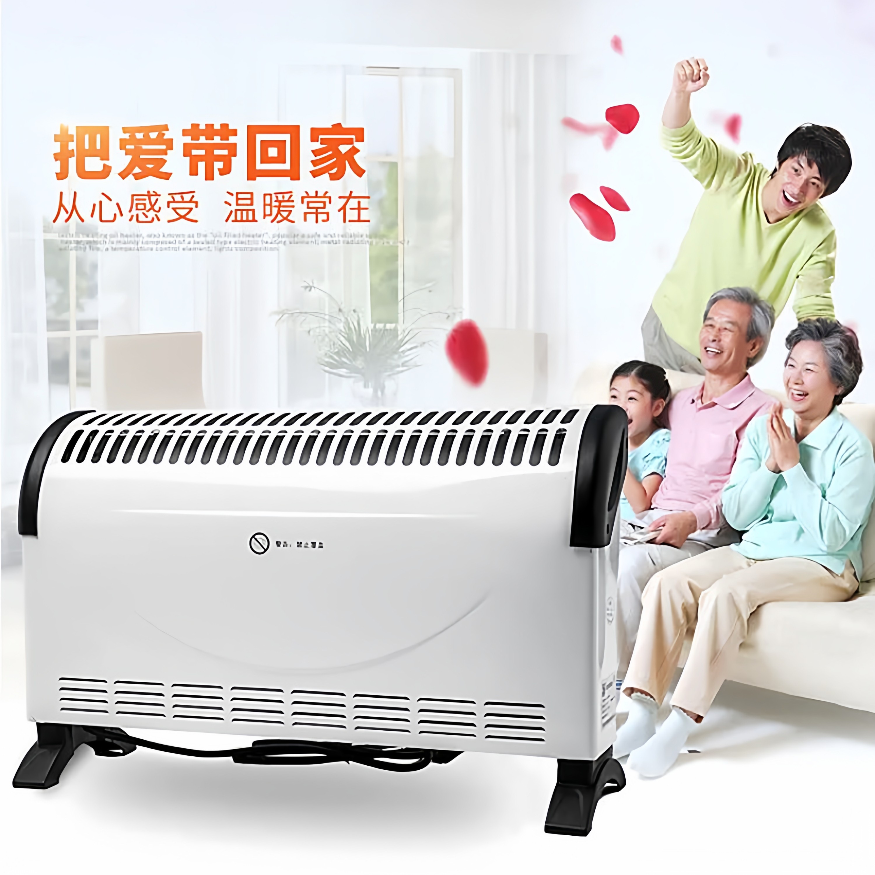 家用取暖器对流式暖风机电暖器省电居浴两用节能电暖气迷你烤火炉