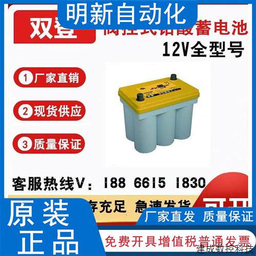 议价双登蓄电池6-SPB12V25AH50AH75AH100AH卷绕式汽车应急启动12V