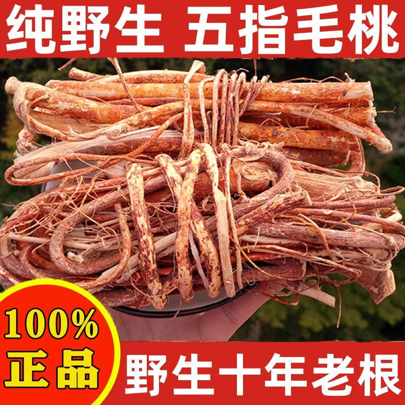 粤西纯野生五指毛桃100%正品