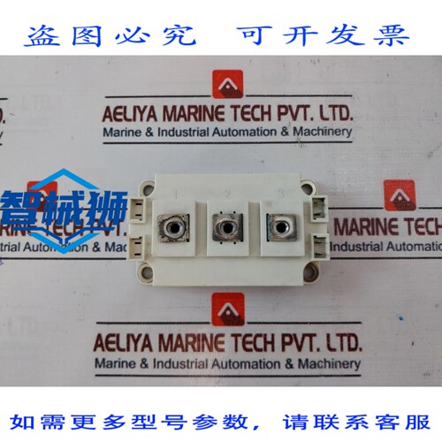 原装供应 赛米克龙 SKM300GB128D IGBT 模块 11481 R