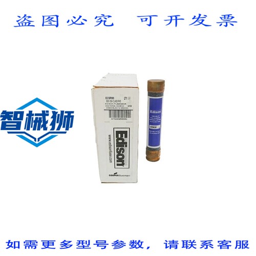 现货供应 爱迪生 ECSR50 600VAC 50A（10 个装）NSMP