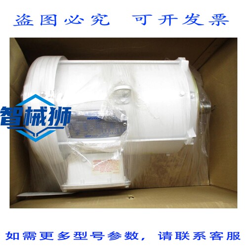 原装供应 LEESON G140466.00 NSNP