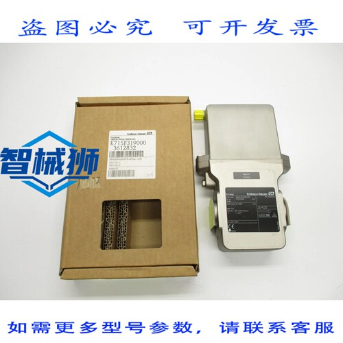 原装供应 ENDRESS+HAUSER 5BH08-A90A1AB041A3 NSMP