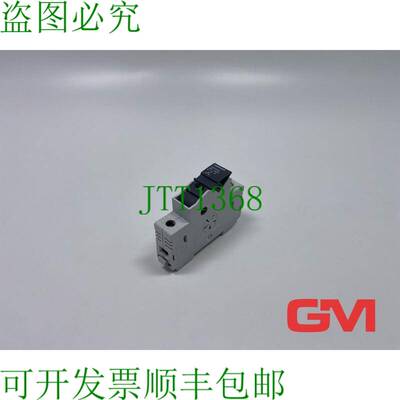 原装供应W?hner Halter 31110 1P 支架 AES10x38 适用于 zylindri