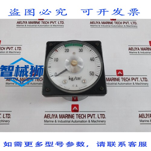 原装供应 东洋计器 DVF-11E 压力指示器 4-20MA 0-50 KG/CM2