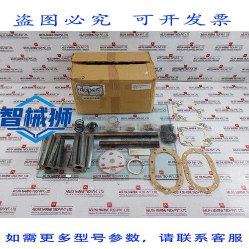 原装供应 ROPER泵N44133重建（含盖）