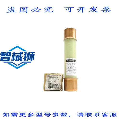 现货供应 9F60BBB002 2.75KV 2EA NSMP