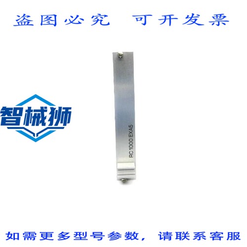现货供应 模块 RC1000EXA5 NSNP