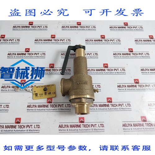 原装供应 VANNES NETA WJ SOUPAPE DE SECURITE à RESSORT EN 4