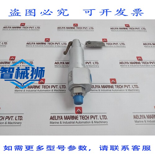 原装供应 MERCER 阀门 91-M2D63P1641 安全泄压阀 3/4 英寸 3500