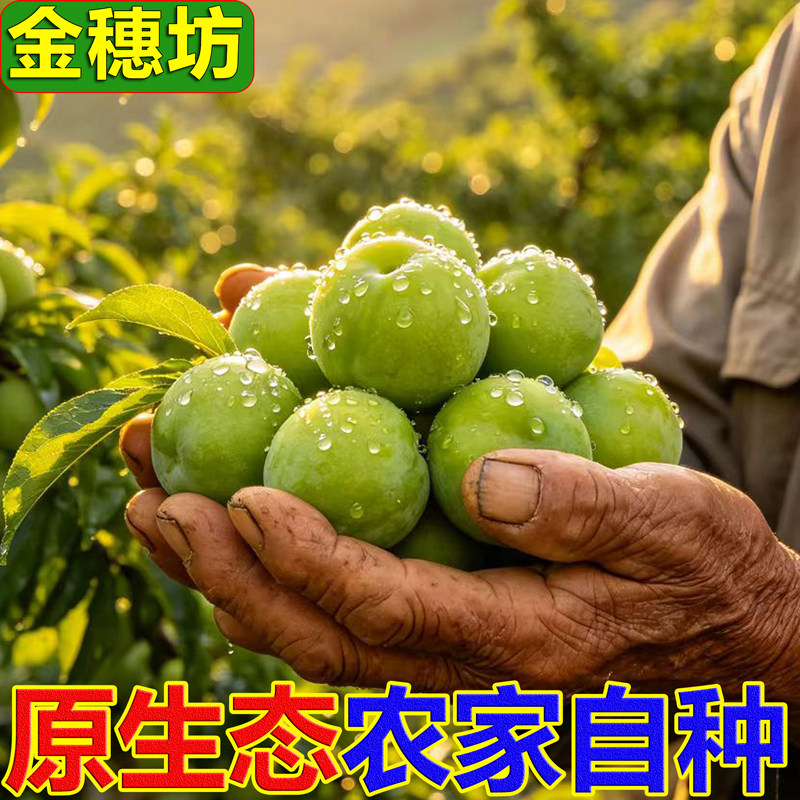 农家自种清脆李不催熟不打蜡无农药李子孕妇放心吃原生态脱骨李子