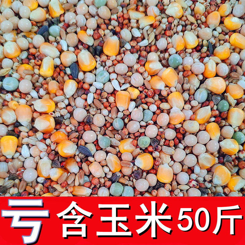 50斤鸽粮鸽子饲料玉米肉鸽
