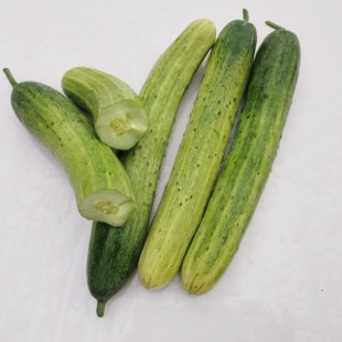 湖南农家自种白玉黄瓜新鲜老品种露天水果黄瓜旱黄瓜生吃蔬菜现摘