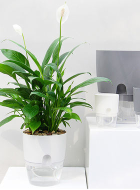 ABS Automatic Self Watering Flower Pot for Succulent Plants