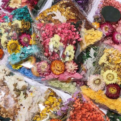 永生花diy浮游花香薰蜡烛相框团扇幼儿园手工压花材料包多色可选