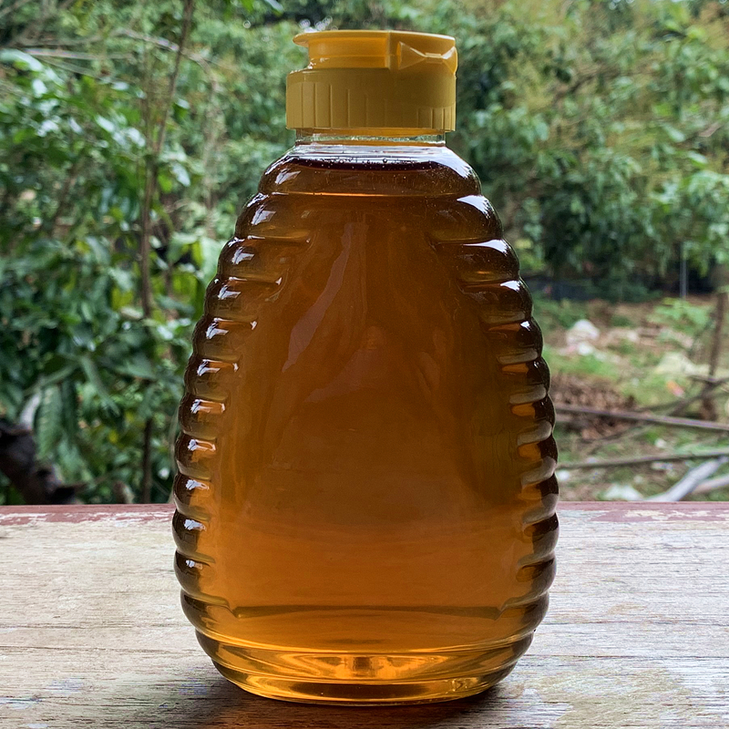 2025年新龙眼蜂蜜500g包邮 蜂蜜桂圆蜜成熟蜜原蜜