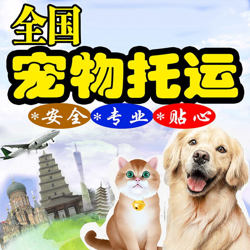宠物托运服务全国猫狗火车运输快递上海代办国际邮寄狗狗猫咪空运