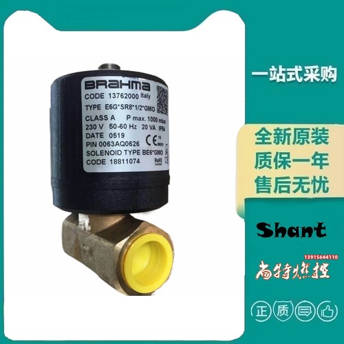 现货燃气电磁阀BRAHAM巴拿马原装