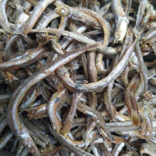 丹东小银鱼干咸鱼小鱼干丁香鱼柳叶鱼250克干货