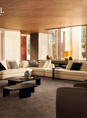 Poliform圣日耳曼沙发Simple curved sofa for the living room