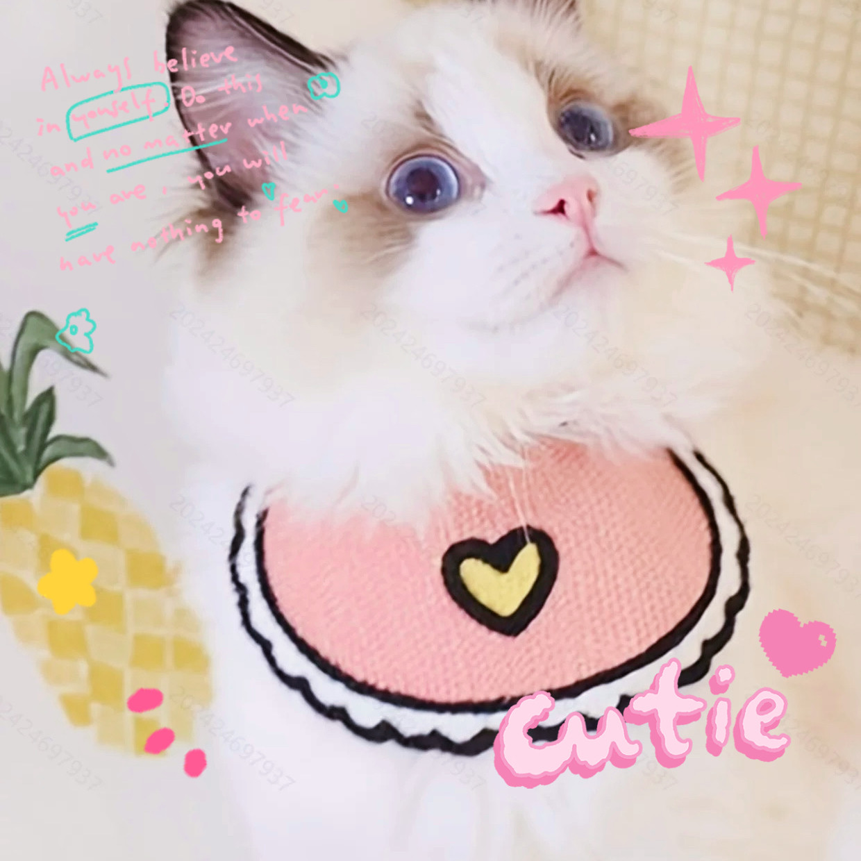 猫咪口水巾宠物狗狗柯基泰迪围兜口水兜围脖围巾柯基犬可爱饰品,宠物/宠物食品及用品,围巾/口水巾,淘宝优惠券,粉丝福利购,淘宝优惠卷