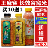 重庆特色王麻雀酒米爆桶哥谷麦米窝料水库江河野钓鲫鱼鲤鱼草鱼