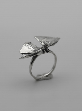 不规则戒指Kammerhopa