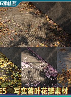UE5虚幻5 写实落叶地面 落叶粒子飘落效果落下树叶子花瓣素材