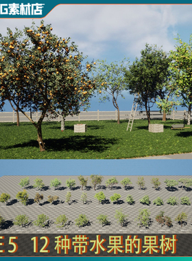 UE5虚幻 水果树模型 苹果梨树樱桃树芒果橘子树桃子树模型素材