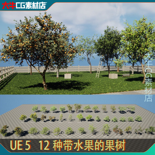 UE5虚幻 水果树模型 苹果梨树樱桃树芒果橘子树桃子树模型素材