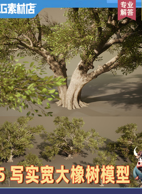 UE5写实树木 橡树植物树木 宽大茂密植物灌木树丛模型虚幻素材