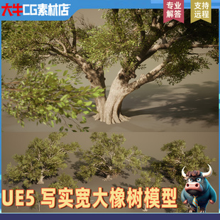 UE5写实树木 橡树植物树木 宽大茂密植物灌木树丛模型虚幻素材