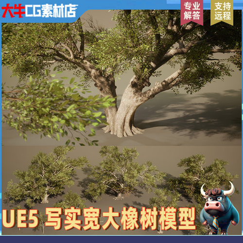 UE5写实树木 橡树植物树木 宽大茂密植物灌木树丛模型虚幻素材