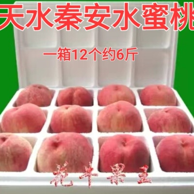 甘肃天水特产小吃新鲜水果天水桃子秦安水蜜桃一箱12个