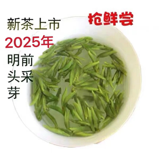 春茶开园头采新茶头芽2025宁海望海茶清明前茶精品茶散装袋装50克