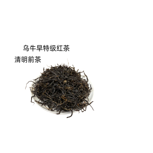 2025新茶宁海特产乌牛早望海茶红茶明前茶100克袋装口粮茶