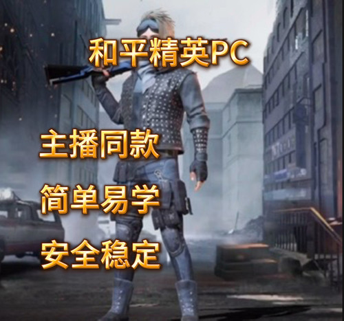 精英和平PC端模拟器压炝文件适配任何鼠标